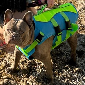 Blue and Green Dog Life Jacket
